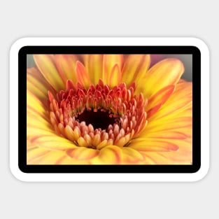 Yellow Gerber Daisy Sticker